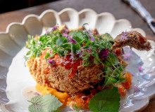 Mallard: Pennsylvania Pekin Duck