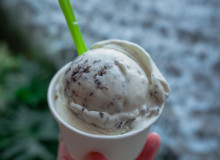 Dolci Gelati - Stracciatella Gelato