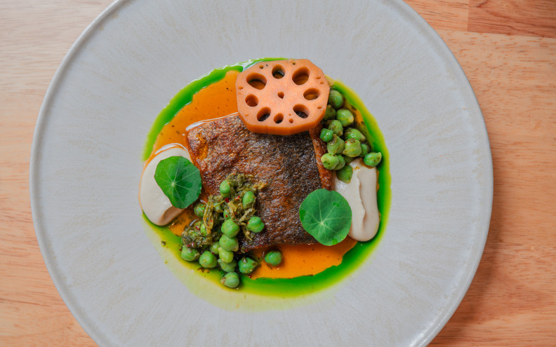 MOON RABBIT — Rainbow trout