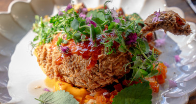 Mallard: Pennsylvania Pekin Duck