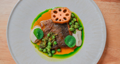 MOON RABBIT — Rainbow trout