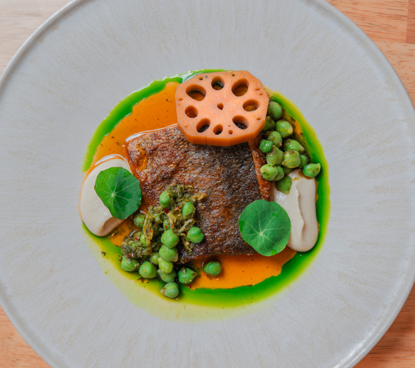 MOON RABBIT — Rainbow trout